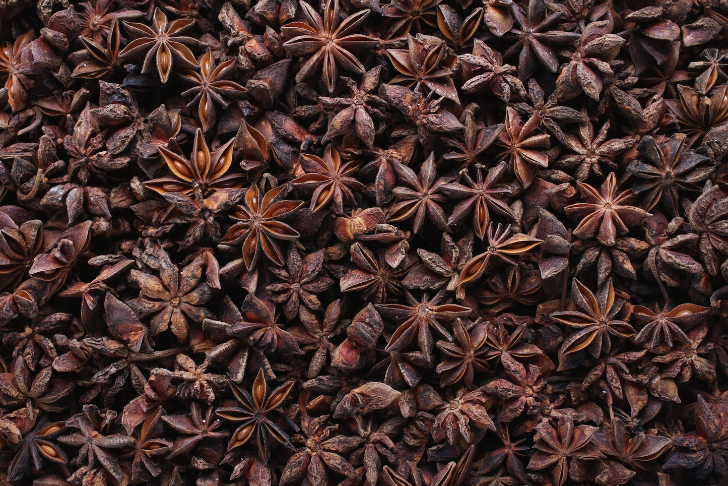 Chakri Phook-Star Anise